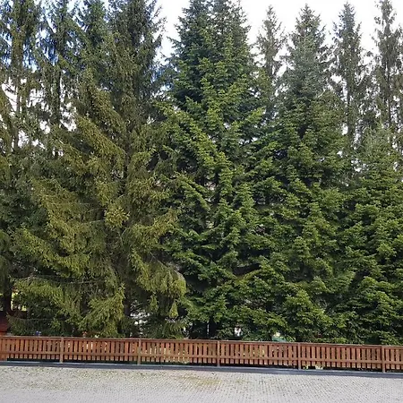 Apartmany 33 A 8 Ad Kamzik Donovaly *