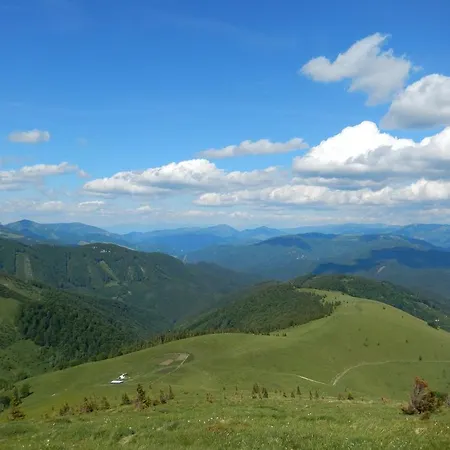 33 A 8 Ad Kamzik Apartament