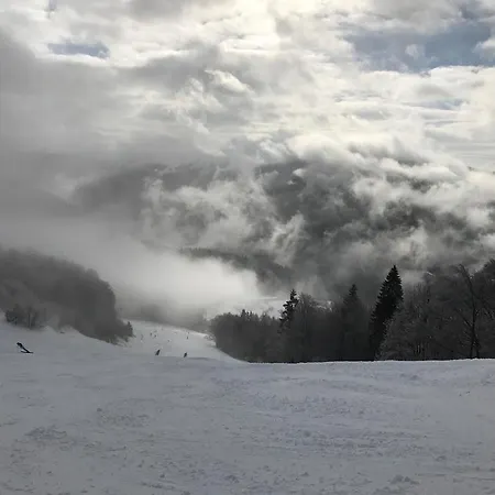 33 A 8 Ad Kamzik Apartament