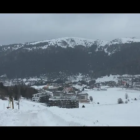 33 A 8 Ad Kamzik Apartament