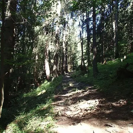 33 A 8 Ad Kamzik Apartament