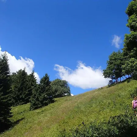 Apartament 33 A 8 Ad Kamzik Donovaly