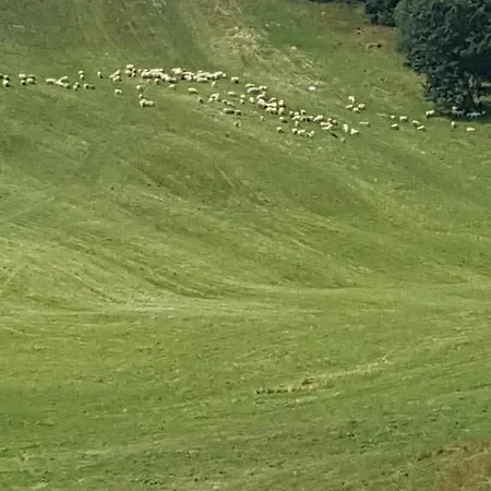 33 A 8 Ad Kamzik Apartament Donovaly